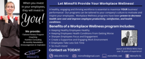 Mimsfit Workplace Wellness